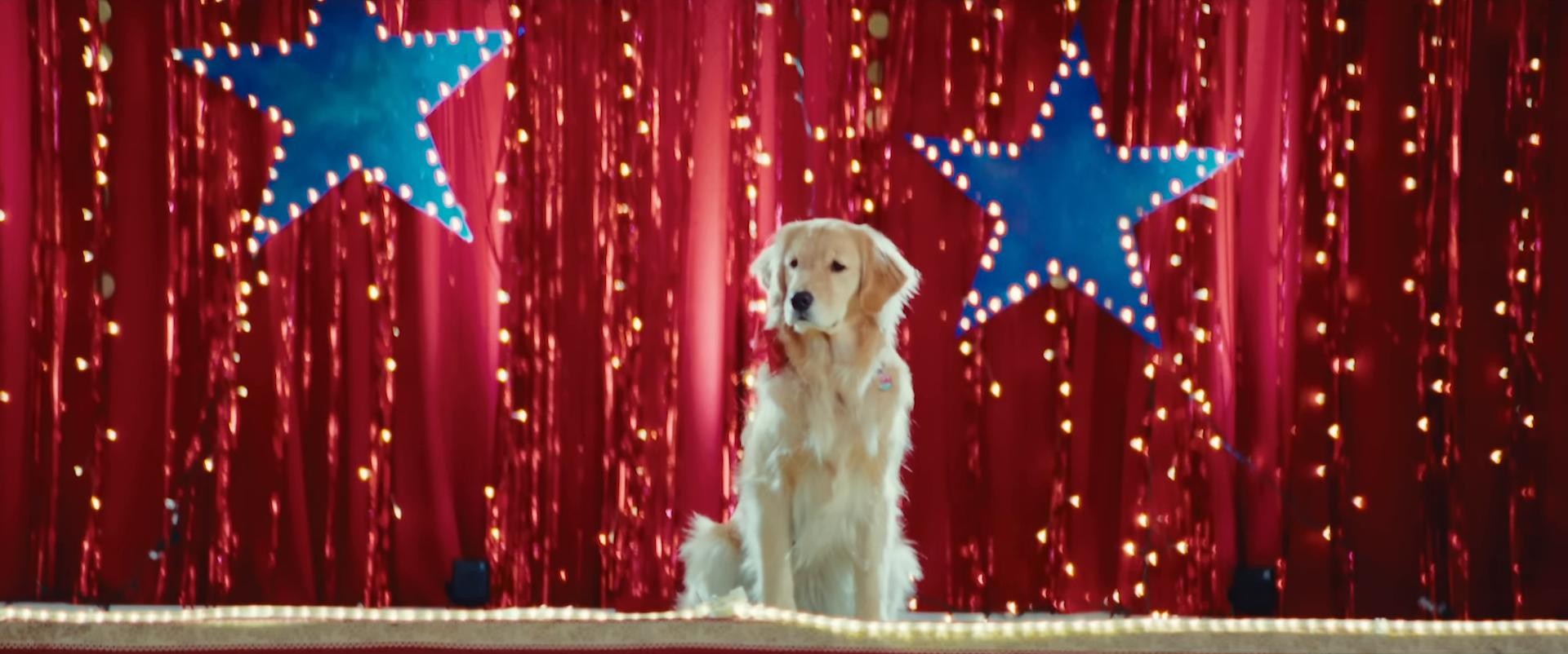 Pretty People (2023) —  shot,  lighting